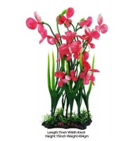Aquascaper Aquarium Plant Green Plant With Pink Salvinia Large